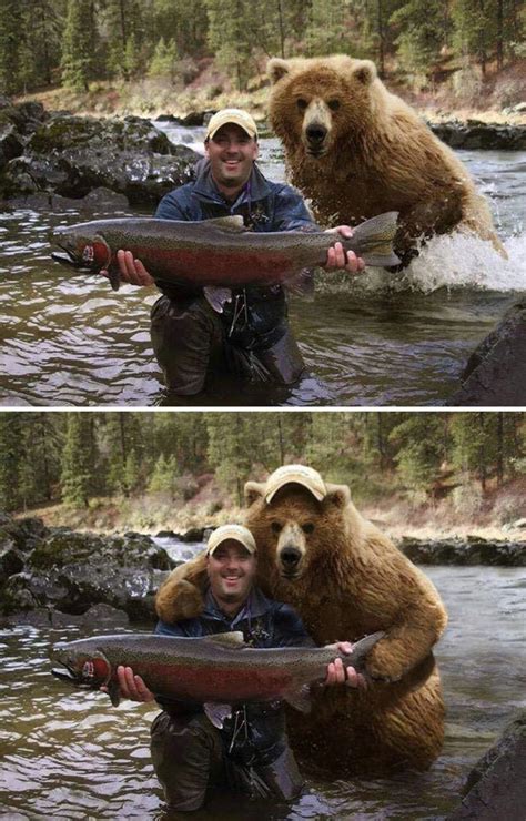 bear  friendly rpics