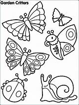 Coloring Pages Bugs Preschool Insects Printable Color Print Getcolorings sketch template