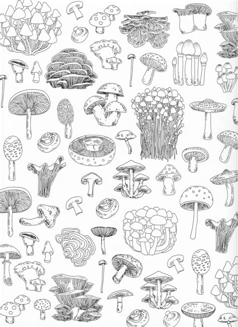 mushroom coloring pages color info