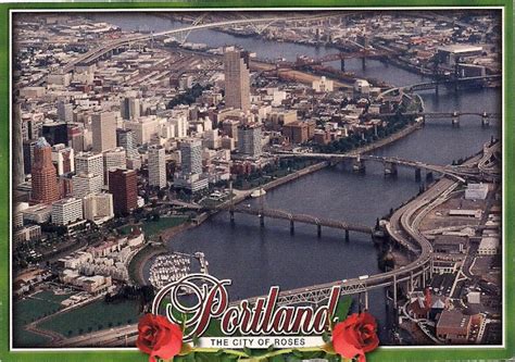 postcardslufra  city  roses