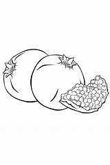 Coloring Pages Garnet Fruit Vegetables Fruits Watermelon Tomatoes sketch template