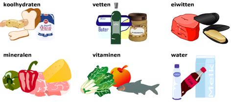 voedingsstoffen en voedingsmiddelen wikiwijs maken