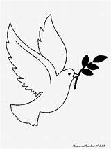 Burung Merpati Sketsa Mewarnai Terbang Dove Trend Lembar Dihalaman Silahkan Sejumlah sketch template