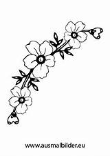 Blumen Blumenkranz Ausmalbild Ausdrucken Blumenranken Malvorlagen Kostenlos Malvorlage Blume Orchideen Kranz Drucken Gladiolen Hibiskus Sonnenblumen Blüten Blumenfeld Als Besuchen Stiel sketch template