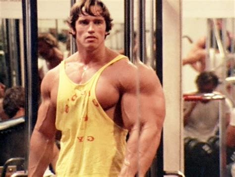 insane arnold schwarzenegger bodybuilding pictures