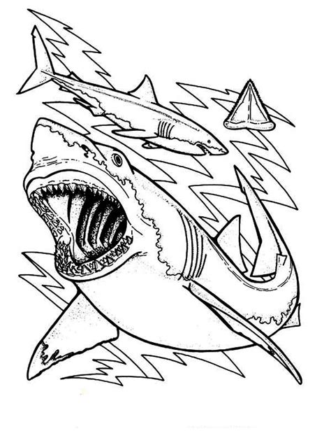 shark teeth drawing  getdrawings