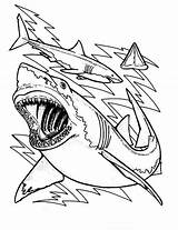 Shark Coloring Pages Sharks Great Teeth Printable Color Drawing Bull Megalodon Sheet Bulls Anatomy Chicago Kids Print Cute Clark Outline sketch template