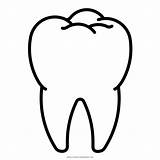 Zahn Ausmalbild Dente Diente Colorare Ausmalbilder Pintar Dientes Dentes Dentista Dent sketch template