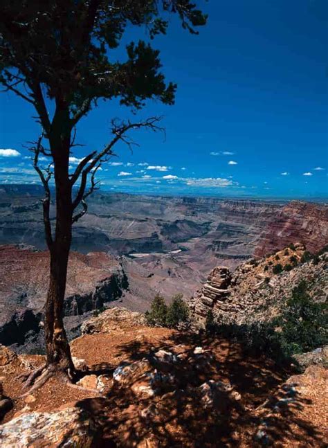 arizona laes om staten  det sydvestlige usa lexdk