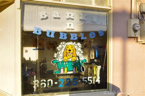 barks  bubbles  shop front caught  eye   sma flickr