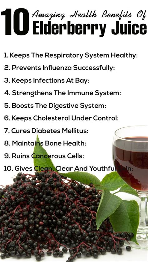 5 amazing health benefits and uses of elderberries