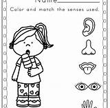 Senses Coloring Pages Five Preschool Worksheets Kids Printable Sense Printables Worksheet Kindergarten Preschoolers Activities Toddler Clipart Color Science Sheets Print sketch template