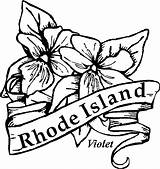 Drawing Coloring Rhode Island States State Kids Flowers United Flower Clipart Pages Vector Template Violet Getdrawings Sheets Cade Printable Sketch sketch template