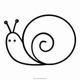 Lumaca Snail Disegni Coloring Ultracoloringpages sketch template