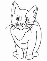 Kitten Coloring Sad Very Pages sketch template