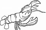 Lobster Coloringbay Webstockreview sketch template