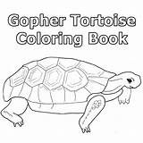 Gopher Tortoise Coloring Book sketch template