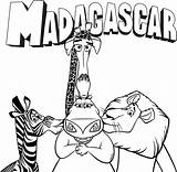 Madagascar Coloring Pages Animal sketch template