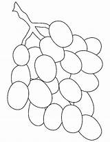 Grapes Grape Colorluna Fruits sketch template