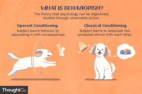 behaviorism  psychology definition theories
