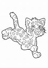Cheetah Running Guepardo Coloring4free Colouring Leopardo Bebé Correndo Lindo Pusheen Rama Sonriendo Acostado sketch template