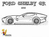 Dessus Shelby sketch template