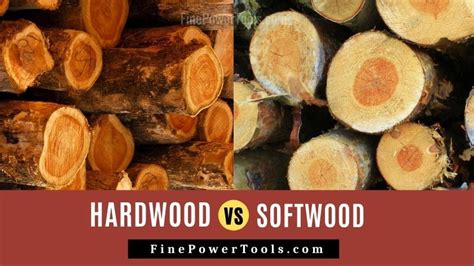 hardwood vs softwood differences and uses