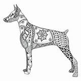 Doberman Coloring Pinscher Vector Dog Stylized Illustration Zentangle Drawings Depositphotos Tattoo Printable Adult Getcolorings Illustrations Tattoos Line Colouring Puppy Choose sketch template