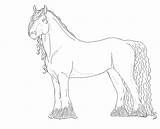 Frisian Lineart sketch template