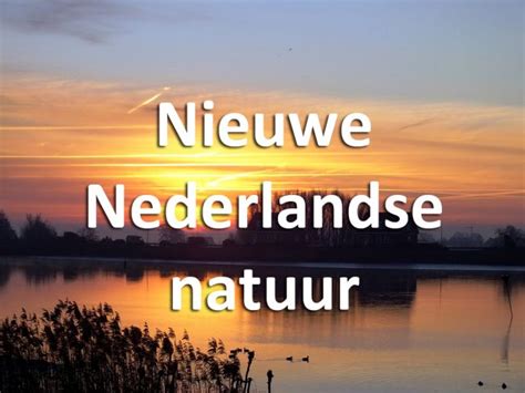 ontdek nieuwe nederlandse natuur  wandelmagazine