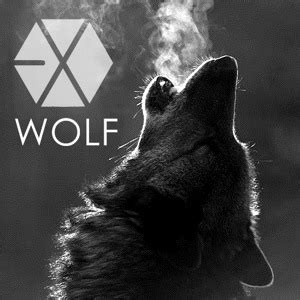 exo  wolf lyrics randomize