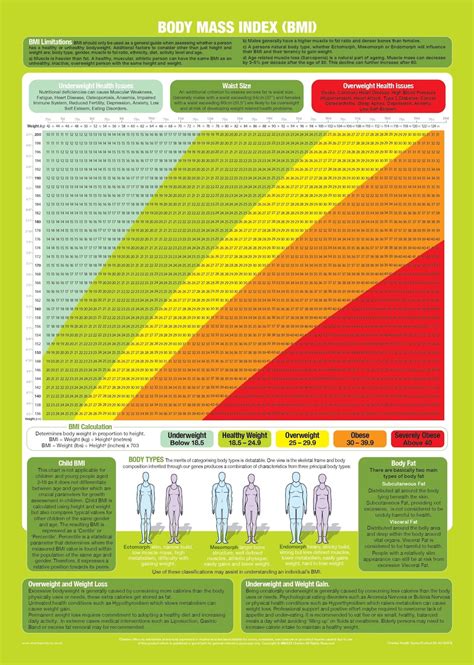 bmi chart body mass index poster height  weight poster etsy uk