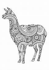 Coloring Pages Lama Kids Llama Comments Donkey sketch template