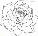 Heart Rose Drawing Getdrawings Pencil Drawings Coloring sketch template