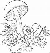 Pilze Coloriage Champignons Champignon Grossem Schirm Ausmalbild Malvorlage Colorier Dover Coloriages Adults Herunterladen sketch template