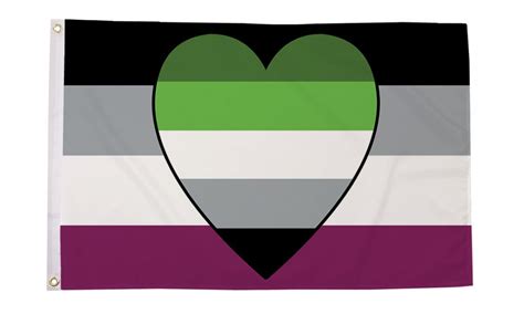 Asexual Aromantic Ace Aro Heart Flag Large 5 X 3 Ft Etsy