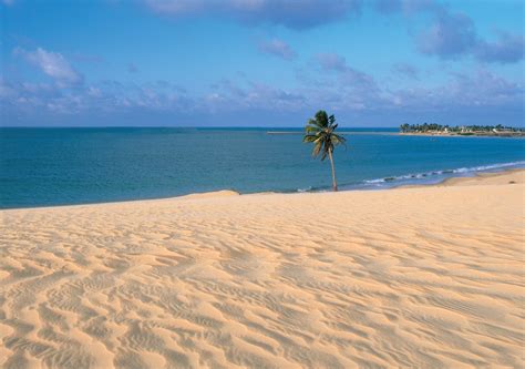sand beach  paracuru ceara brazil  photo  freeimages