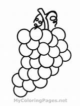 Frutas Weintraube Coloring Hrana Grapes Bojanke Uva Kostenlos Malvorlage Decu Slike Malvorlagen Voca Ausdrucken Bojanje Nazad sketch template