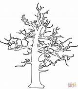 Tree Coloring Dead Pages Printable Drawing sketch template