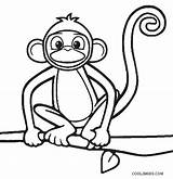 Monkeys Cool2bkids Affe Colouring Druckbare Affen Kostenlose sketch template