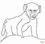 Coloring Baboon Baby Pages Drawing Printable Color Baboons 55kb 1200 Drawings Categories sketch template