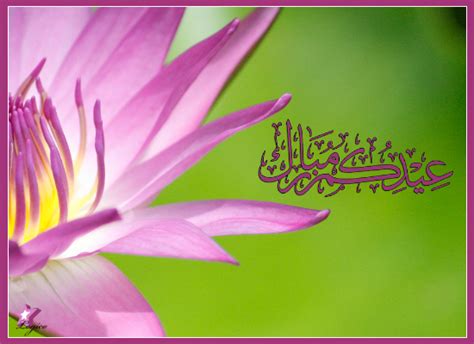 happy eid fitr  eid mubarak ecards greeting cards