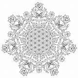 Coloring Pages Flower Mandala Adults Colouring Adult Printable Rose Life Kids Sheets Detailed Flowers Rocks Complex Books Print Book Sheet sketch template