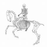 Skeleton Rider Horse Drawing Lineart Getdrawings sketch template