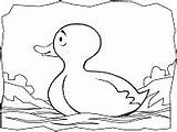 Pato Patos Duck Printable Primeraescuela Ducks sketch template