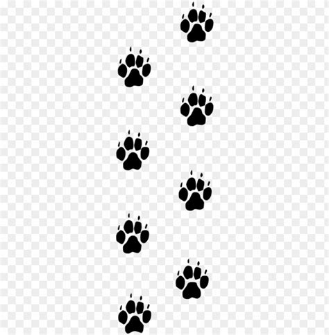 aw print trail png wolf paw prints png transparent  clear