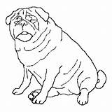 Dog Coloring Pug Fat Pages Realistic Big Red Color Clifford Cat Drawing Puppy Newfoundland Printable Pugs Husky Print Cute Sad sketch template