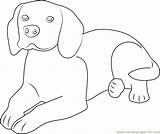 Coloring Dog Look Coloringpages101 Pages sketch template