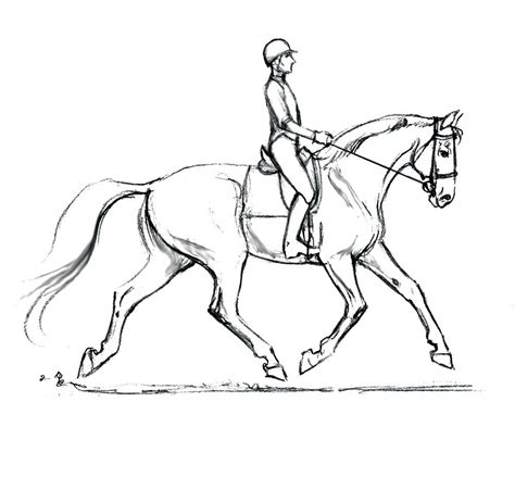 equine cms horse sketch horse drawings horse coloring pages