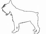 Schnauzer Outline Silhouette Silhouettes Vector Drawing Svg Coloring Pages sketch template